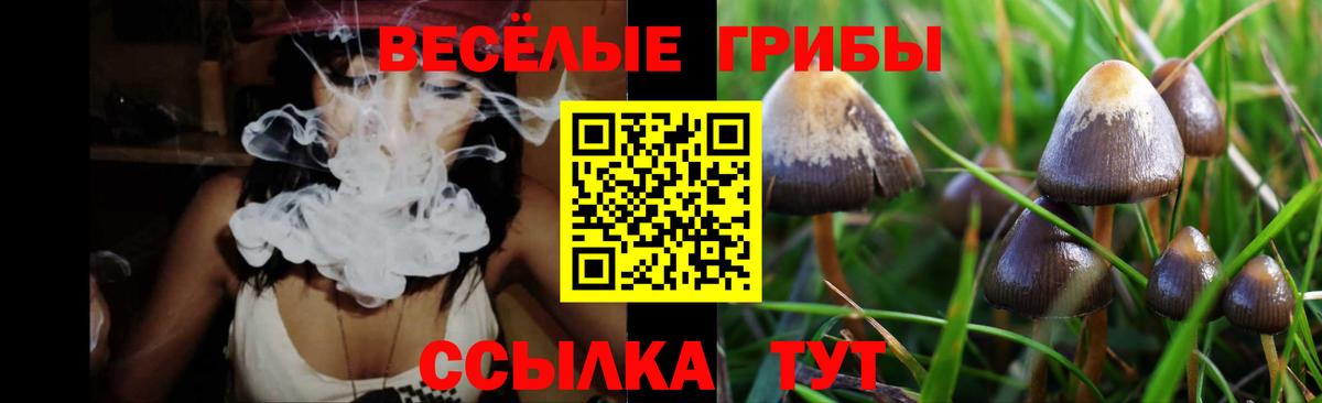 Галлюциногенные грибы мухоморы  Вход с VPN  Волгодонск 